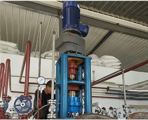 ����ʽ������